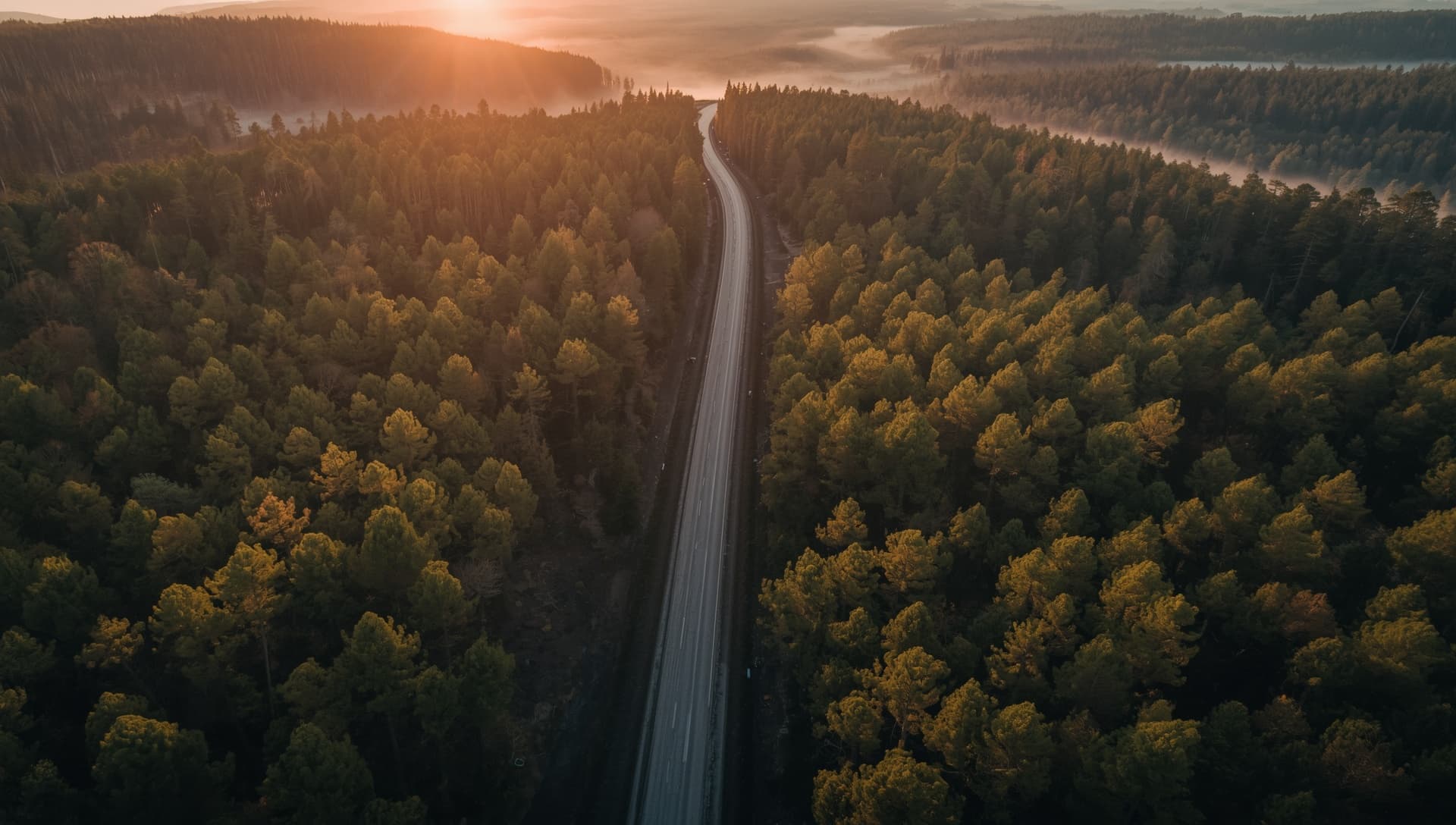 A forest road at sunset, as seen from the driver’s seat